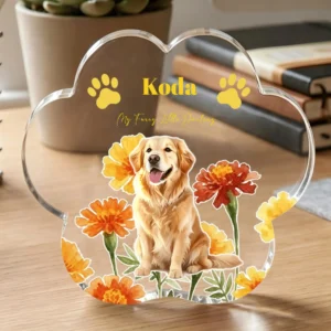 Personalized Birth Flower Paw Prints Clear Paw Print Shape Acrylic Ornament with Pet Photo and Name Home Decor Pet Party Gift for Pet Owners