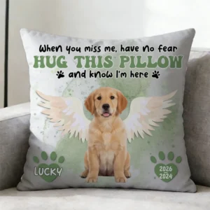 Custom Photo Dog Cat Memorial When You Miss Me Hug This Pillow - Personalized Pillow