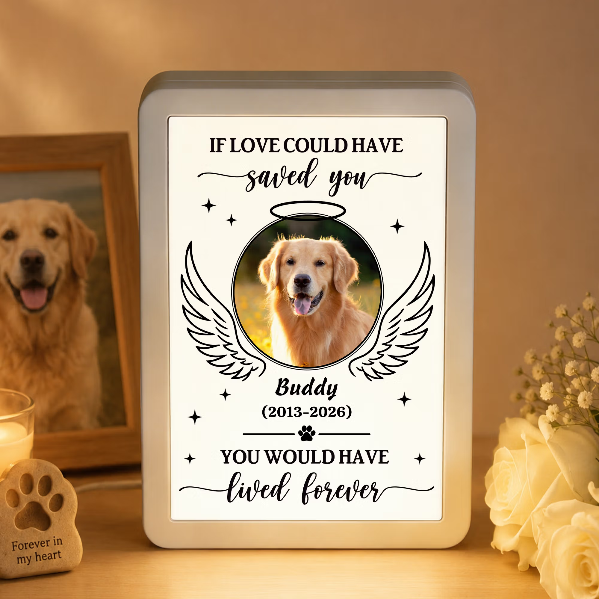 Personalized Pet Photo LED Mirror Photo Frame with Name and Date Sympathy Memorial Daily Use Gift for Pet Lovers Owners Friends