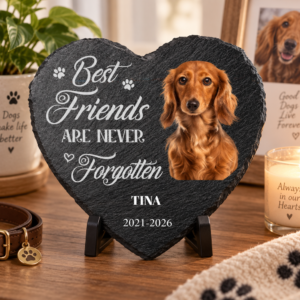 Custom Photo Memorial Dog Cat You Left A Paw Print - Personalized Heart Memorial Garden Stone